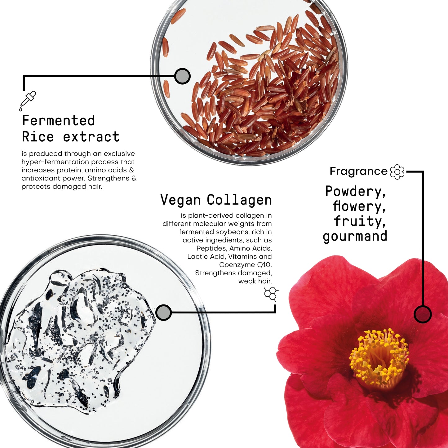 Restructure Hair Beauty Elixir — imagen 3